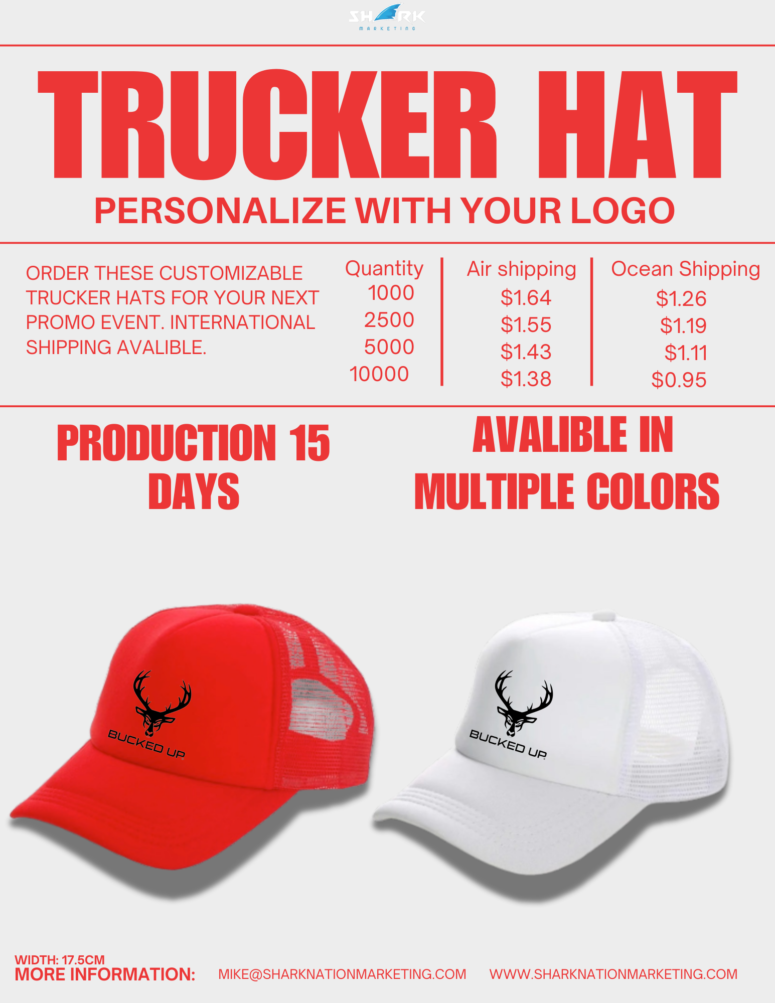 Journal Product 68 Flyer Image